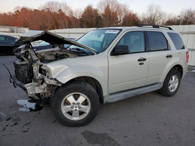 Obraz 2009 FORD ESCAPE XLT 2009
