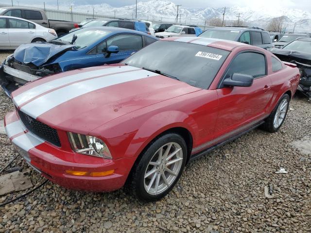 2007 FORD MUSTANG  2007 image