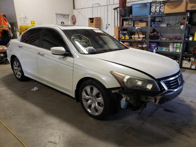 2008 HONDA ACCORD EXL 2008 image