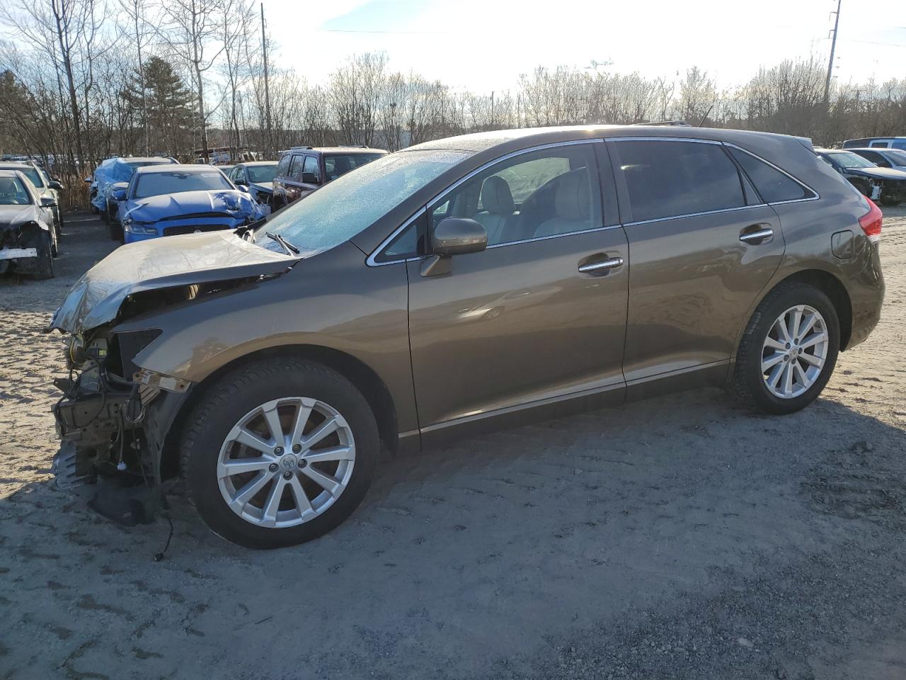 Изображение 2010 TOYOTA VENZA  2010
