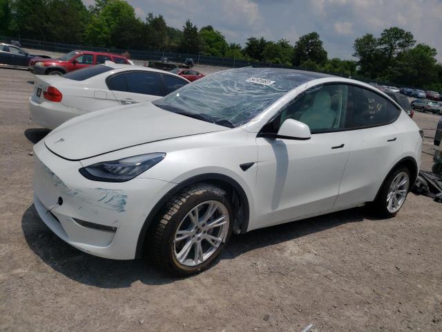Obraz 2022 TESLA MODEL Y  2022