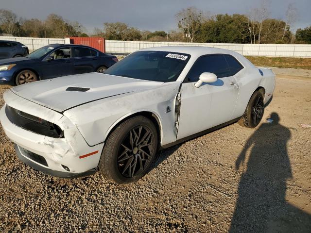Obraz 2017 DODGE CHALLENGER R/T 2017
