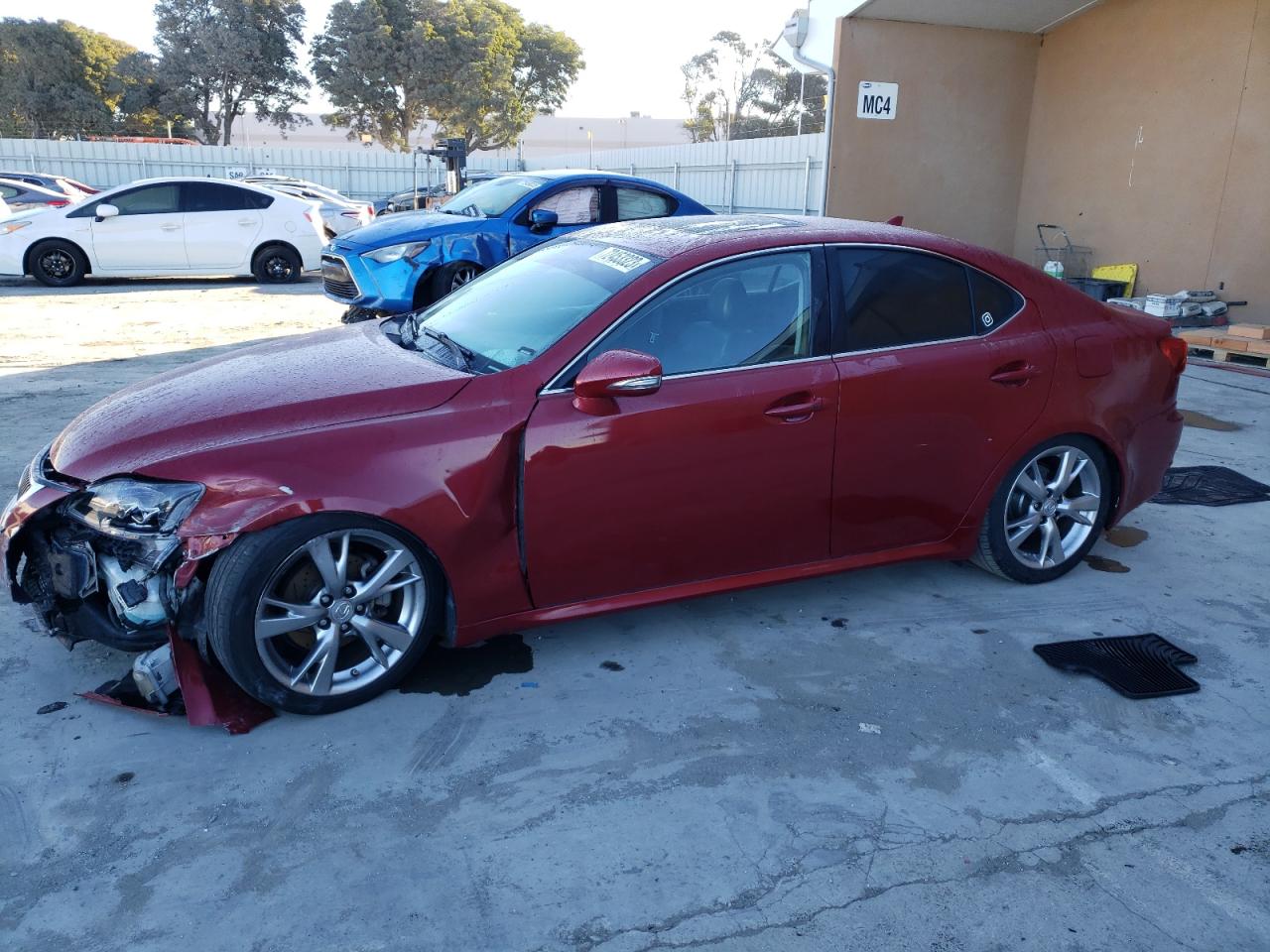2009 LEXUS IS 250 2009 image