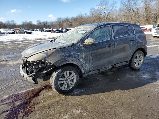 Изображение 1 2019 KIA SPORTAGE LX 2019 с VIN KNDPMCAC9K7614973