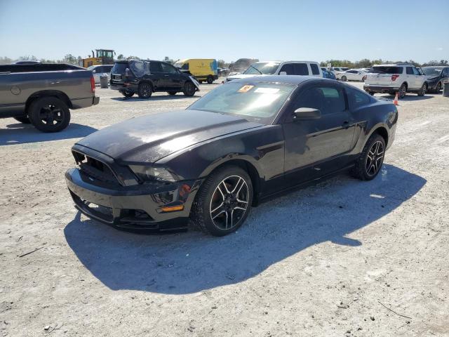 Image 1 of 2013 FORD MUSTANG  2013 with VIN 1ZVBP8AM2D5281437