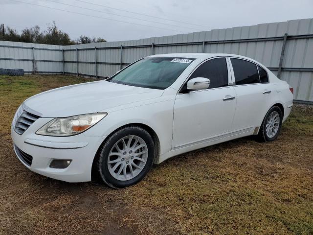 2010 HYUNDAI GENESIS 3.8L 2010 image