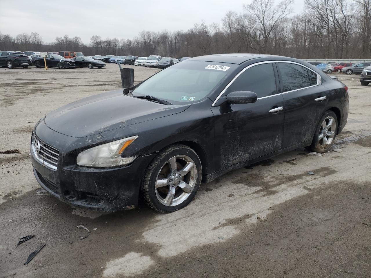 Image 1 of 2009 NISSAN MAXIMA S 2009 with VIN 1N4AA51E49C859862