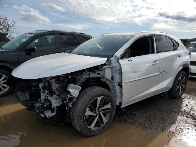Obraz 2020 LEXUS NX 300H 2020