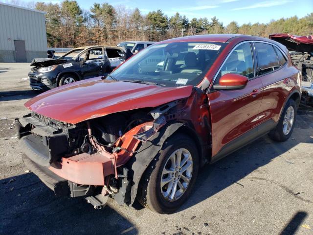 2020 FORD ESCAPE SE 2020 image