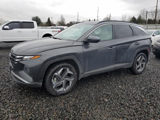 2023 HYUNDAI TUCSON SEL 2023 image