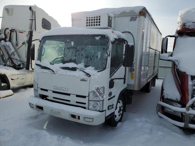 Obraz 2011 ISUZU NQR  2011