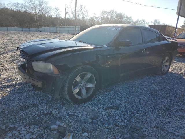 2013 DODGE CHARGER R/T 2013 image