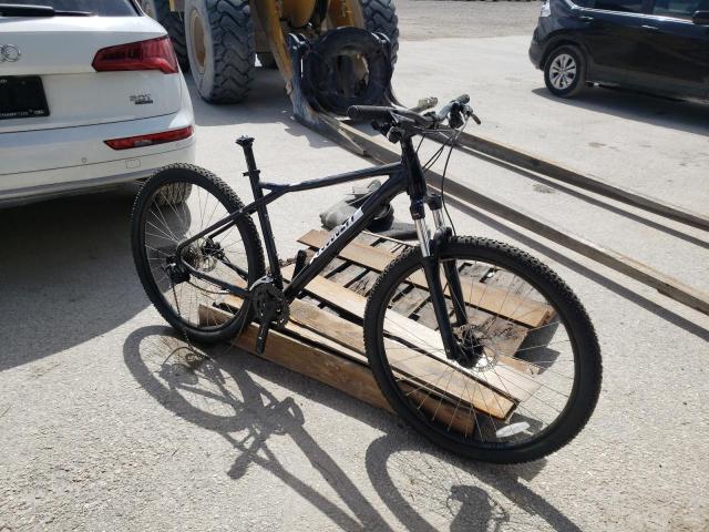 Obraz OTHER BIKE 1999
