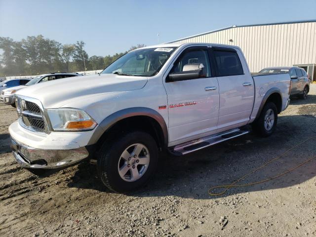 2011 DODGE RAM 1500  2011 image