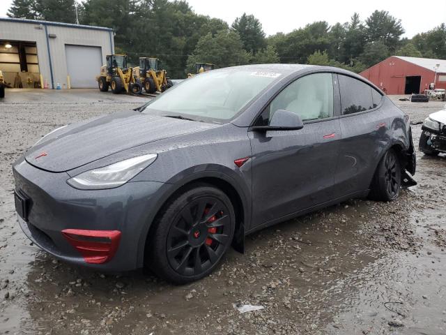 2023 TESLA MODEL Y  2023 image