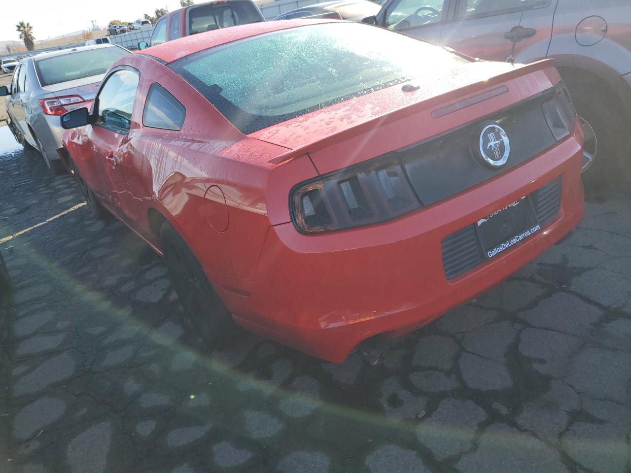 Obraz 2 z 2014 FORD MUSTANG  2014 z VIN 1ZVBP8AM9E5201178