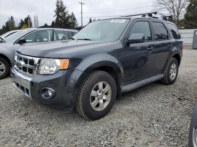 Obraz 2009 FORD ESCAPE LIMITED 2009