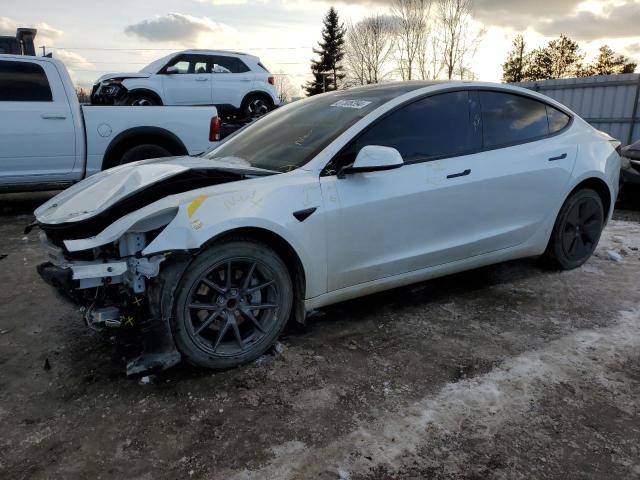 2023 TESLA MODEL 3  2023 image