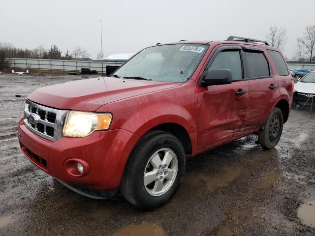 2010 FORD ESCAPE XLT 2010 image