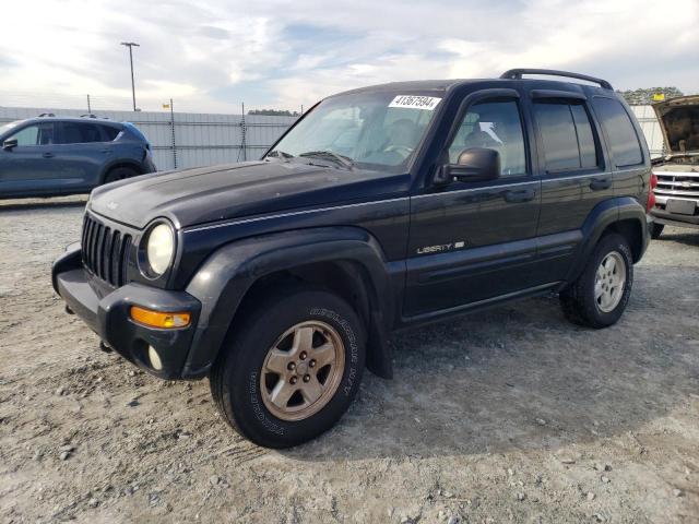2002 JEEP LIBERTY LIMITED 2002 image