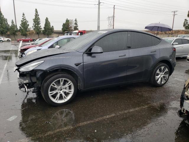 2023 TESLA MODEL Y  2023 image