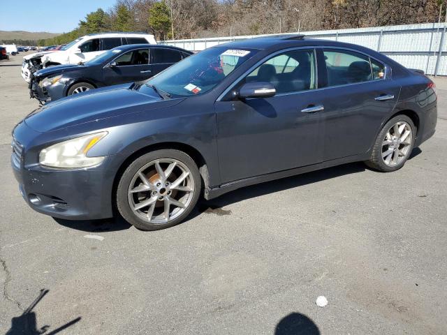 2010 NISSAN MAXIMA S 2010 image