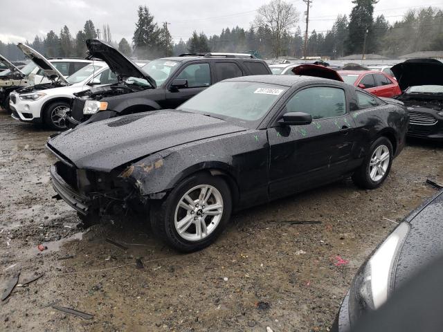 2013 FORD MUSTANG  2013 image