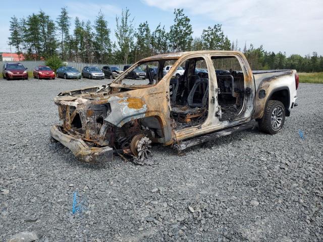 Obraz 2021 GMC SIERRA K1500 AT4 2021