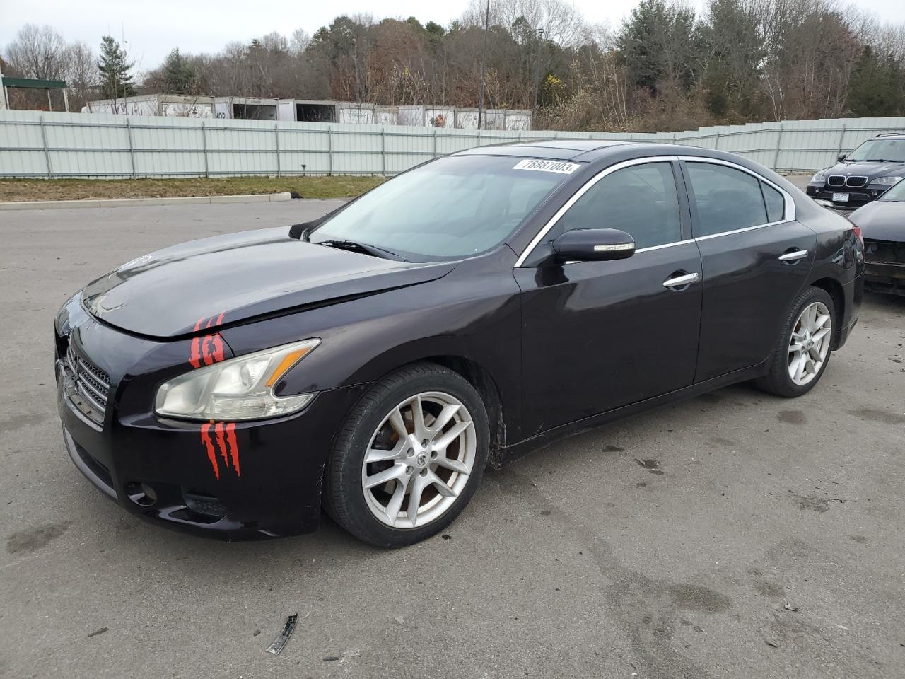 2010 NISSAN MAXIMA S 2010 image