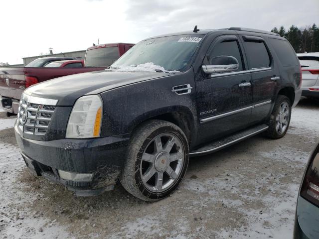 Obraz 2011 CADILLAC ESCALADE LUXURY 2011
