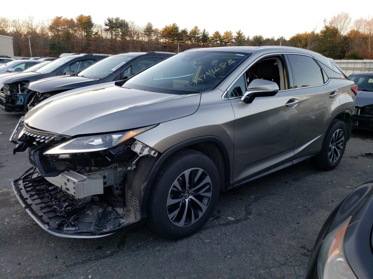 2020 LEXUS RX 350 2020 image