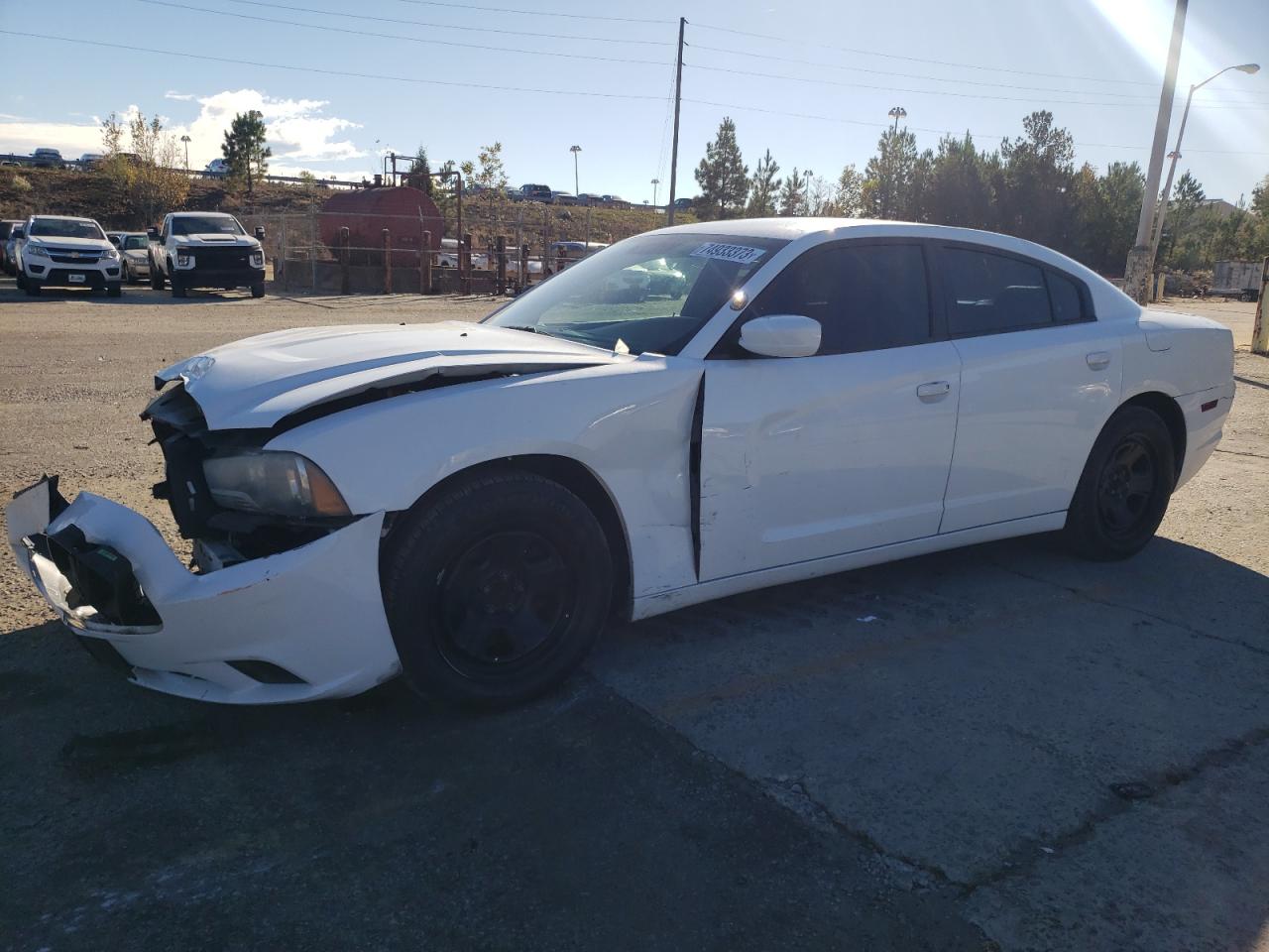 2013 DODGE CHARGER POLICE 2013 image
