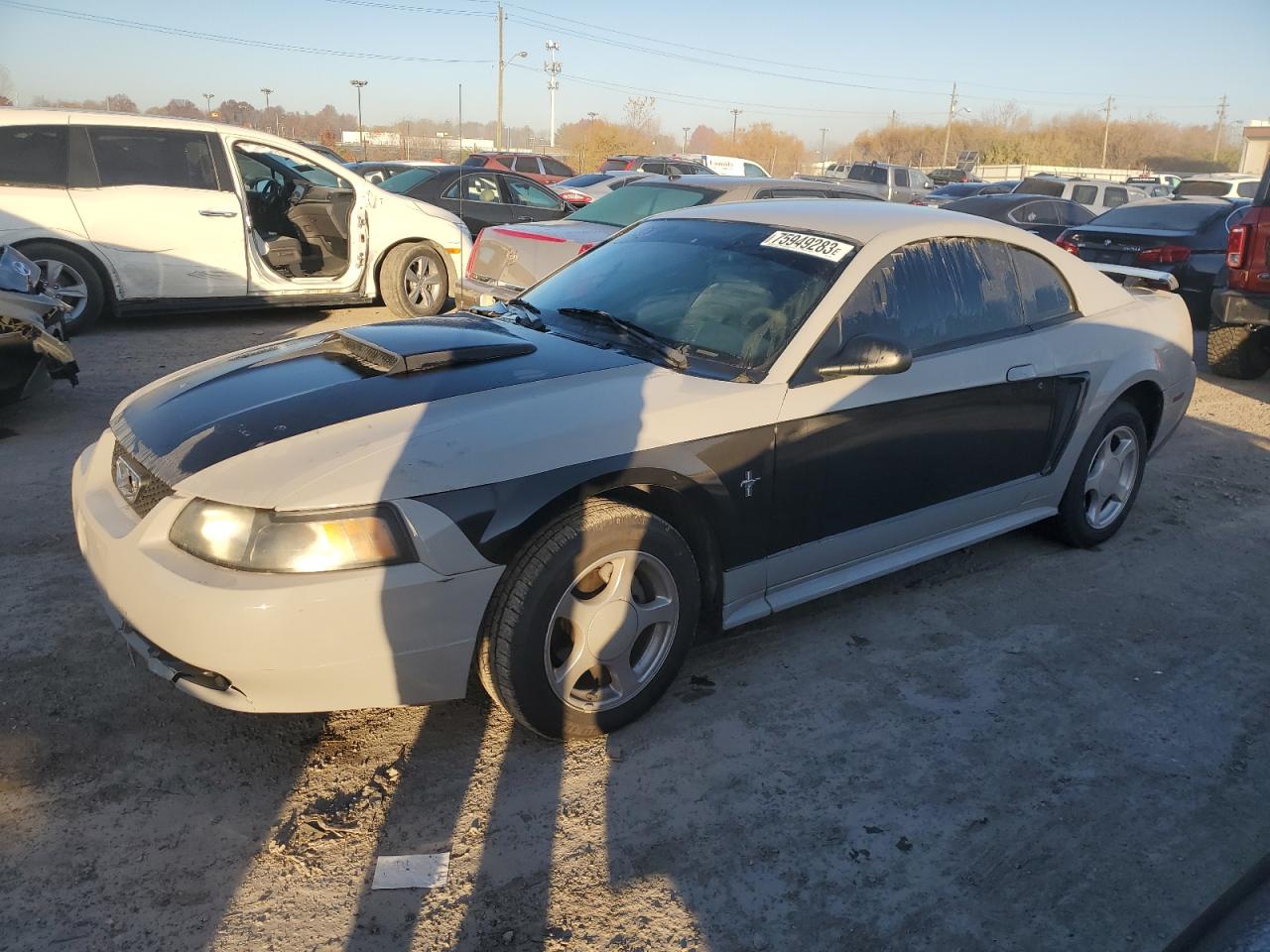 2002 FORD MUSTANG  2002 image