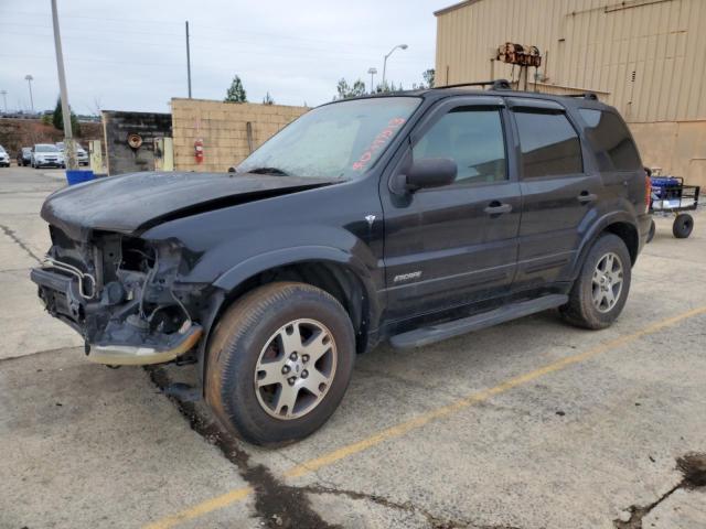 2002 FORD ESCAPE XLT 2002 image