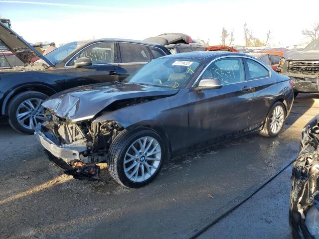 Obraz 2016 BMW 228 XI SULEV 2016