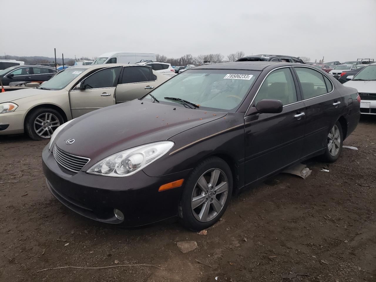2005 LEXUS ES 330 2005 image