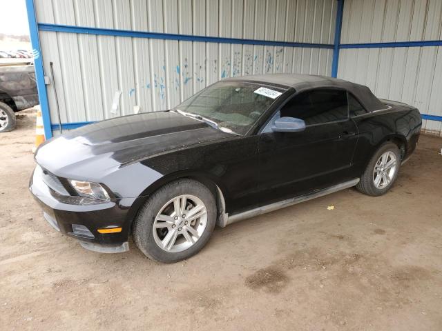 2010 FORD MUSTANG  2010 image