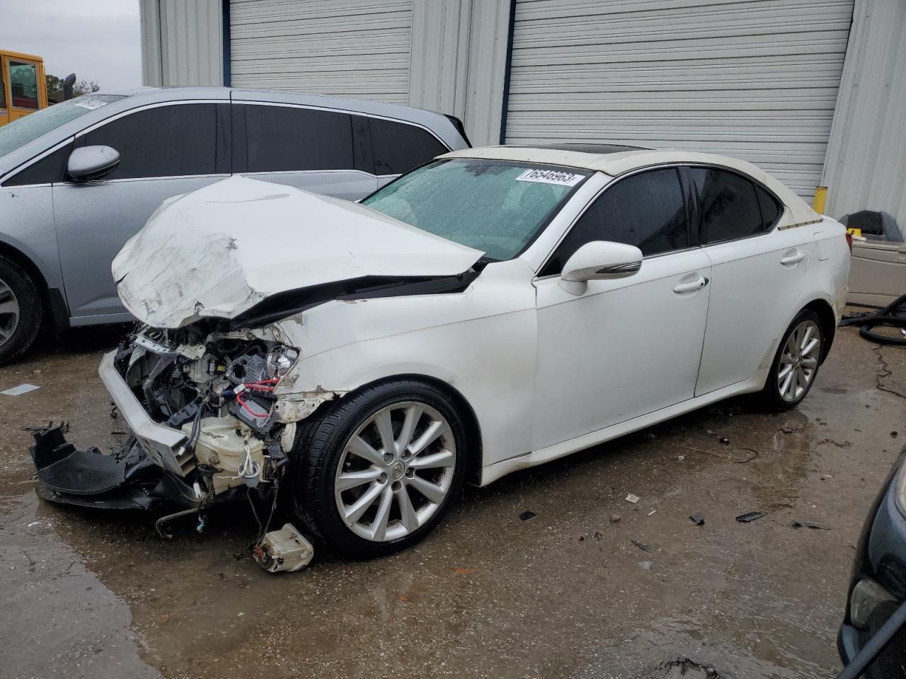 Obraz 2009 LEXUS IS 250 2009