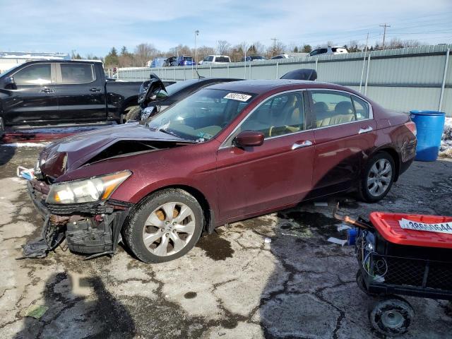 Obraz 2008 HONDA ACCORD EXL 2008