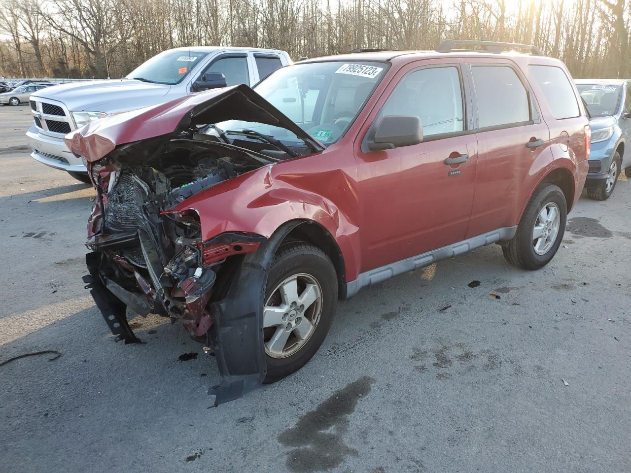 2010 FORD ESCAPE XLT 2010 image