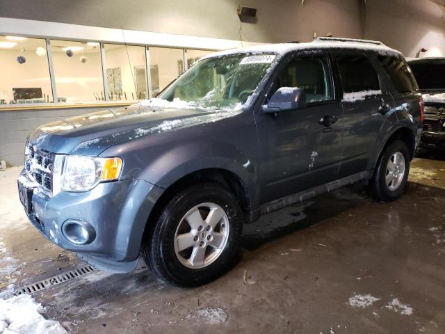 2010 FORD ESCAPE XLT 2010 image