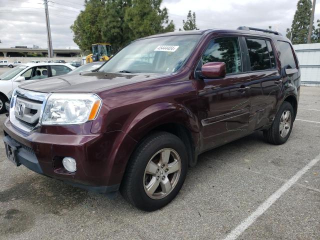 2011 HONDA PILOT EXLN 2011 image
