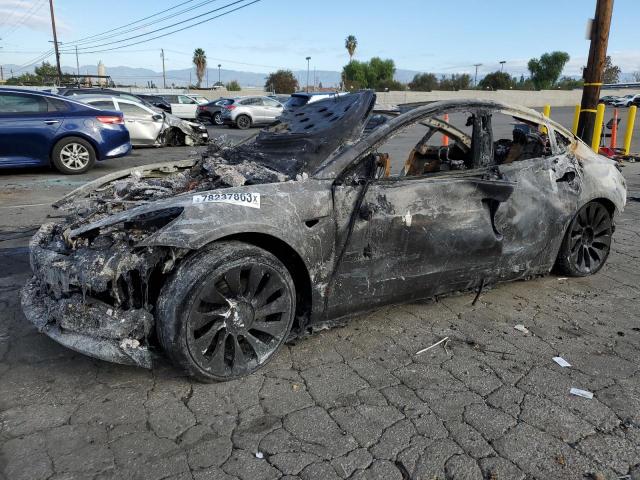 2023 TESLA MODEL 3  2023 image
