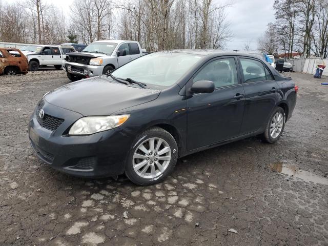 Image 1 of 2010 TOYOTA COROLLA BASE 2010 with VIN 2T1BU4EE6AC253243