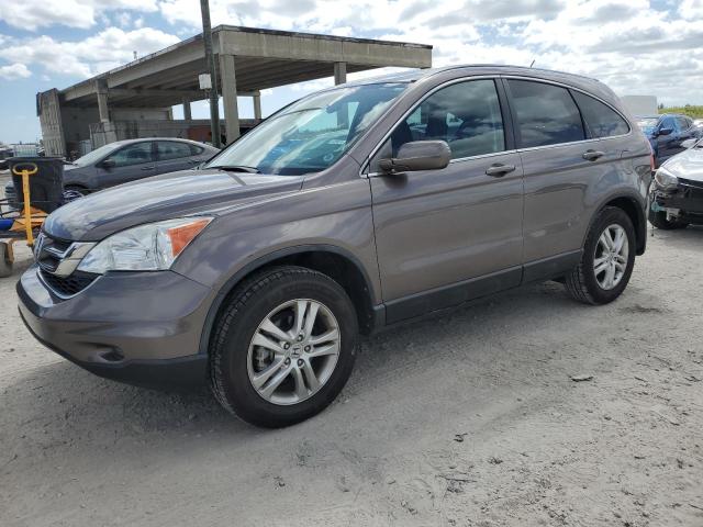 2011 HONDA CR-V EXL 2011 image