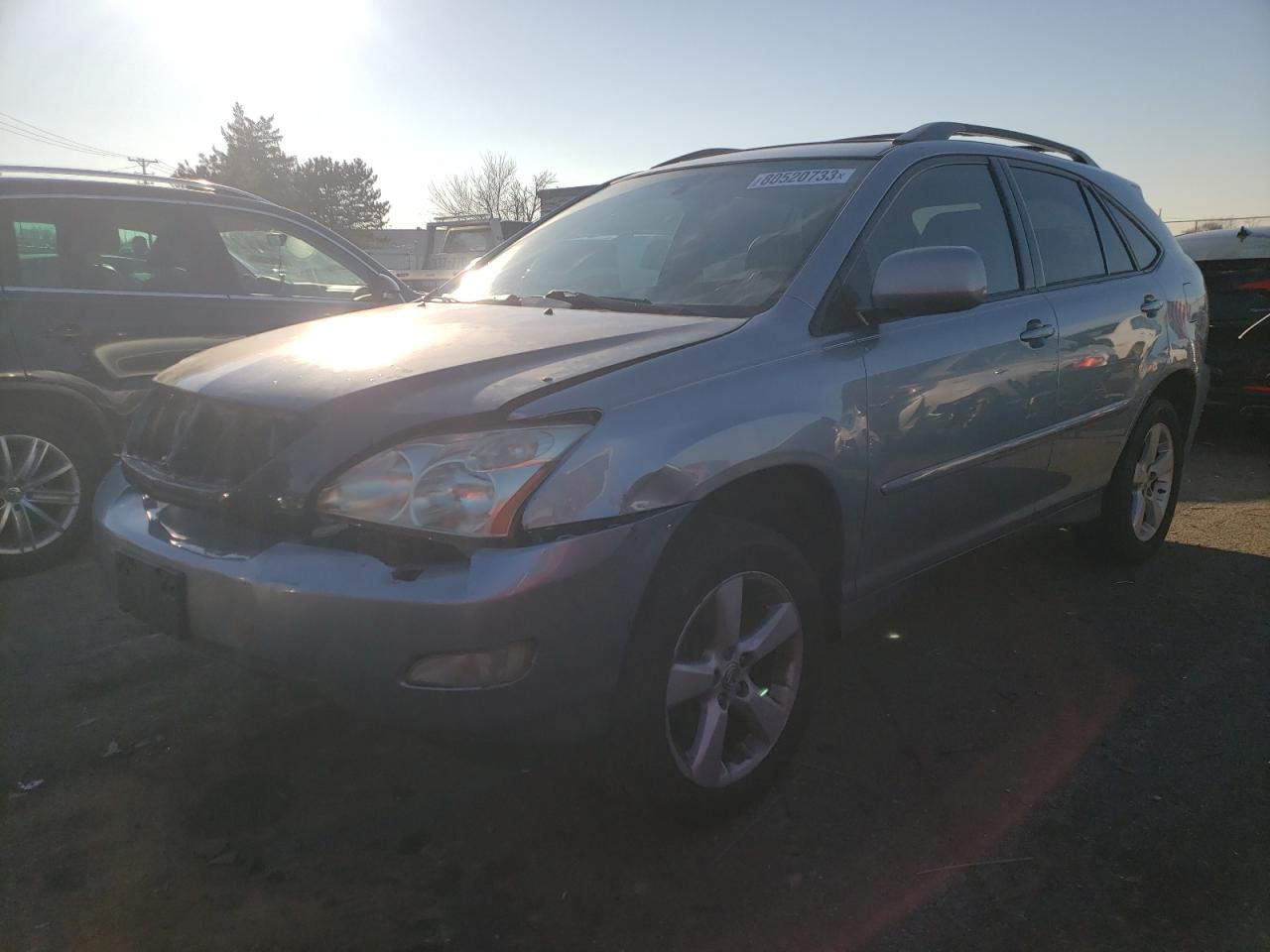 2004 LEXUS RX 330 2004 image