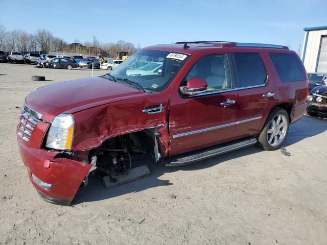 Obraz 2011 CADILLAC ESCALADE LUXURY 2011