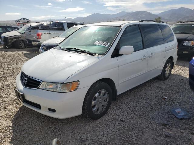 2004 HONDA ODYSSEY EXL 2004 image