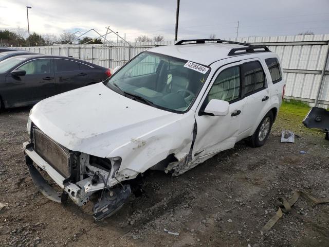Obraz 2008 FORD ESCAPE HEV 2008