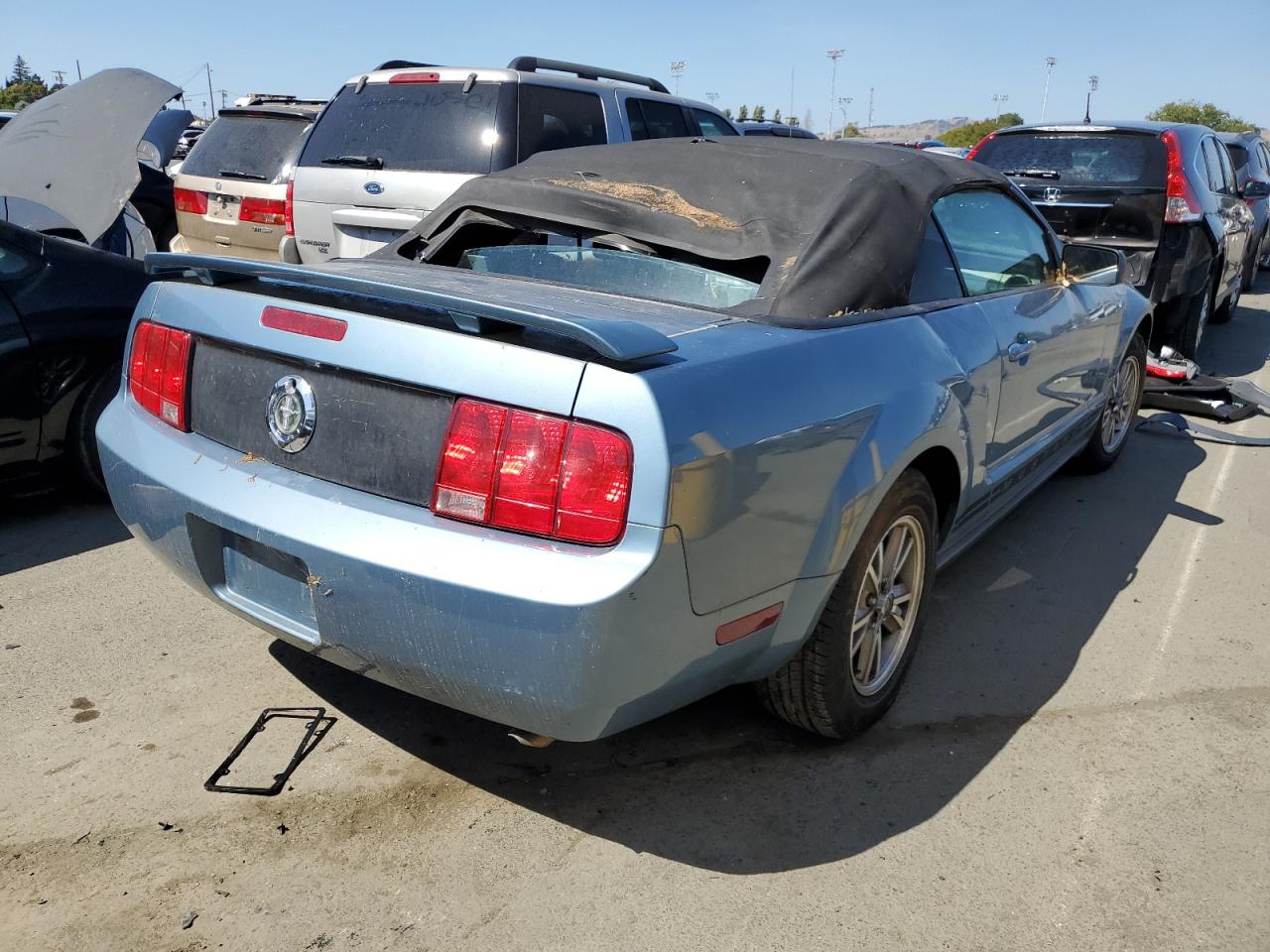 Image 3 of 2006 FORD MUSTANG  2006 with VIN 1ZVFT84N365105405